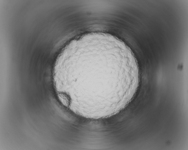 X0000112840353200909181718