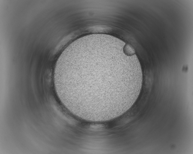 X0000112840357200909181718