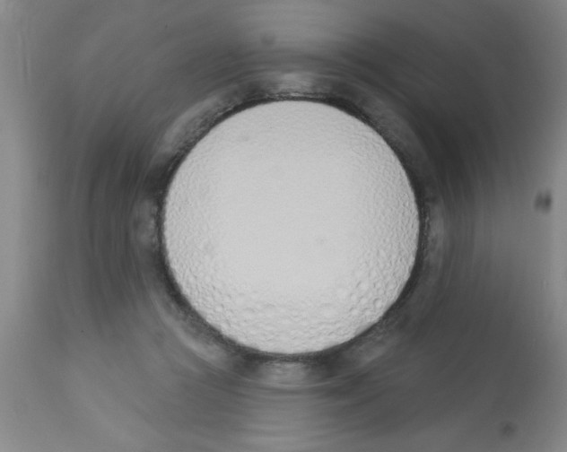 X0000112840361200909181718