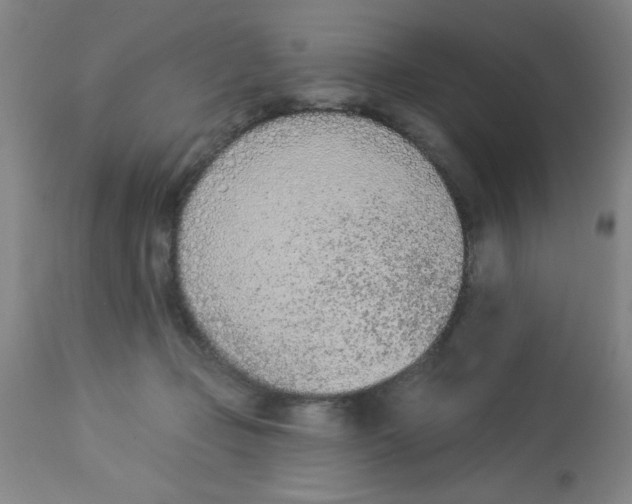 X0000112840365200909181718