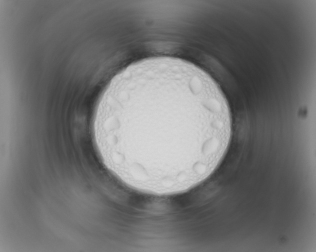 X0000112840377200909181718