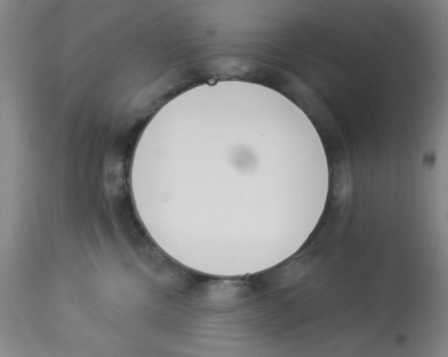 X0000112840378200909181718