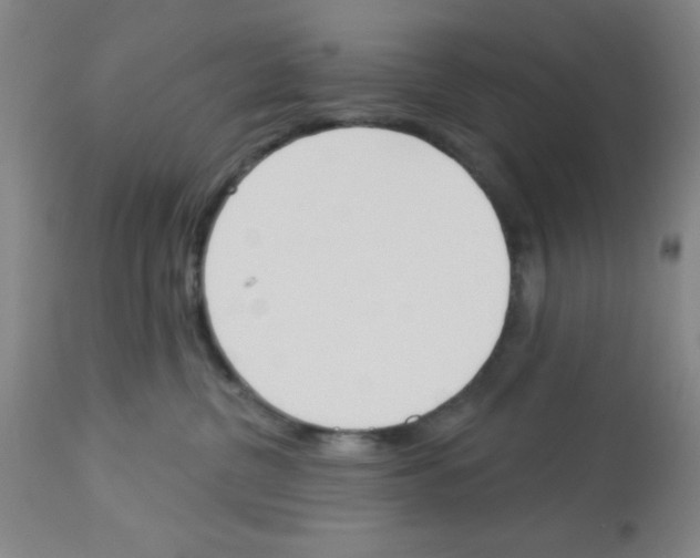 X0000112840380200909181718