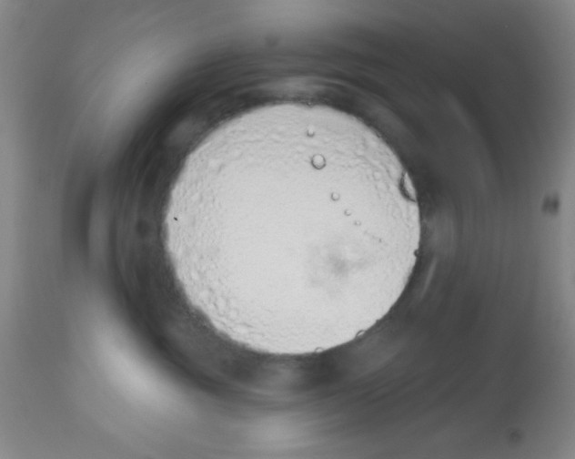 X0000112840381200909181718