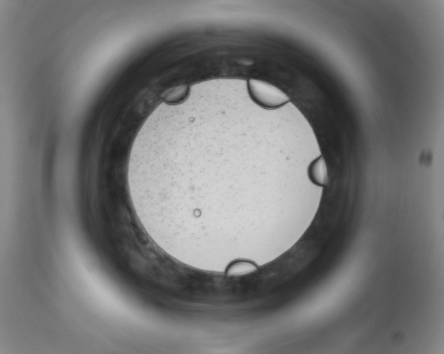 X0000112840383200909181718