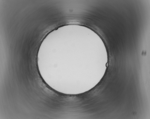 X0000112840385200909181718