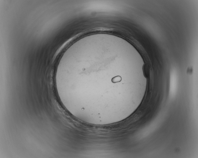 X0000112840387200909181718