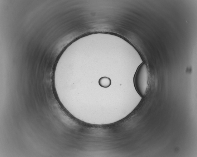 X0000112840389200909181718