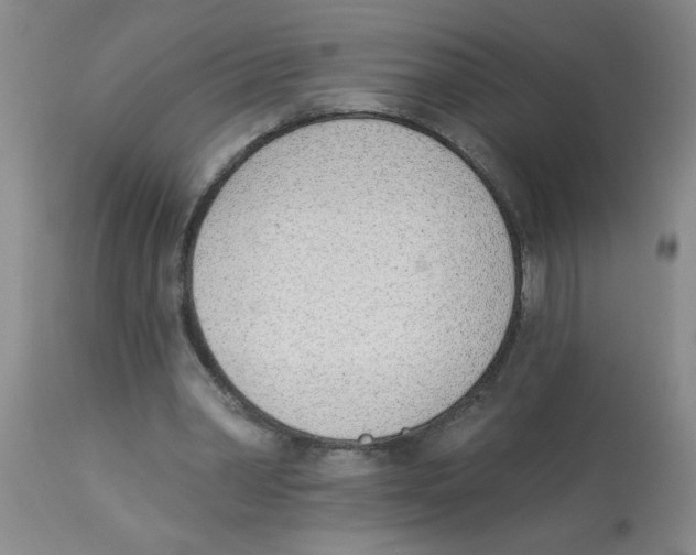 X0000112840390200909181718