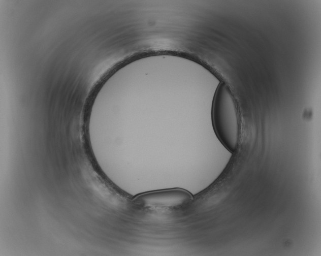 X0000112840391200909181718