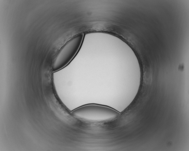 X0000112840393200909181718