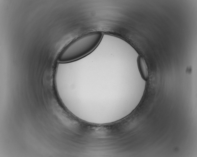 X0000112840395200909181718