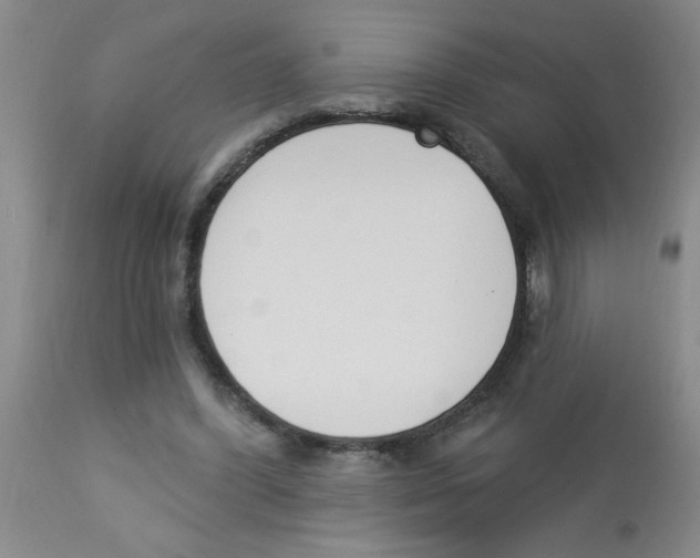 X0000112840396200909181718