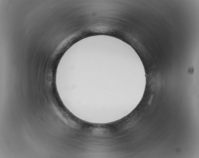 X0000112840400200909181717