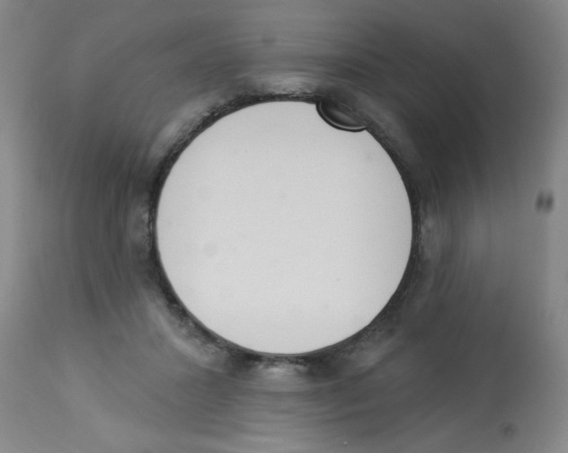 X0000112840407200909181717