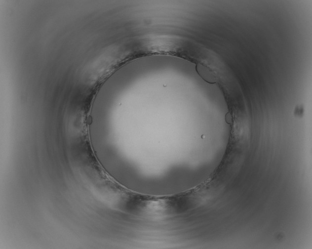 X0000112840411200909181717