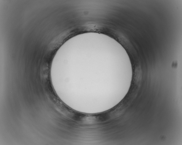 X0000112840413200909181717