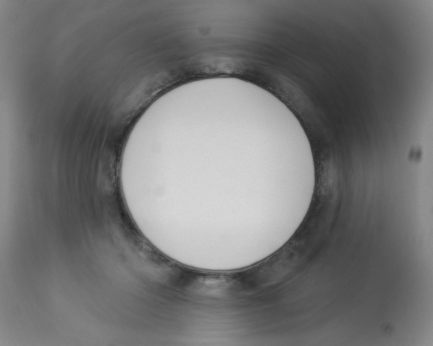 X0000112840414200909181717