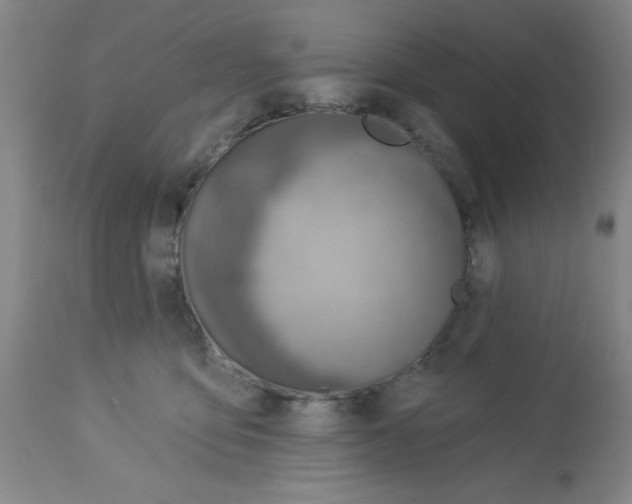 X0000112840419200909181717