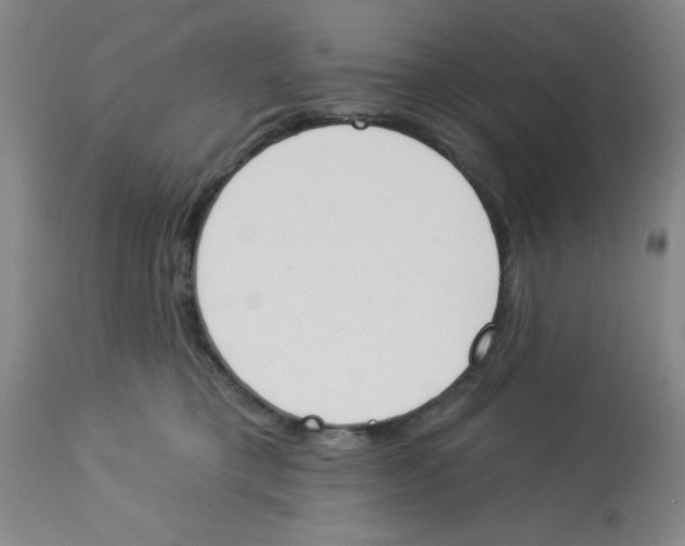 X0000112840421200909181717