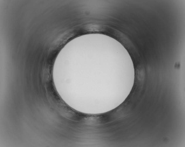 X0000112840422200909181717