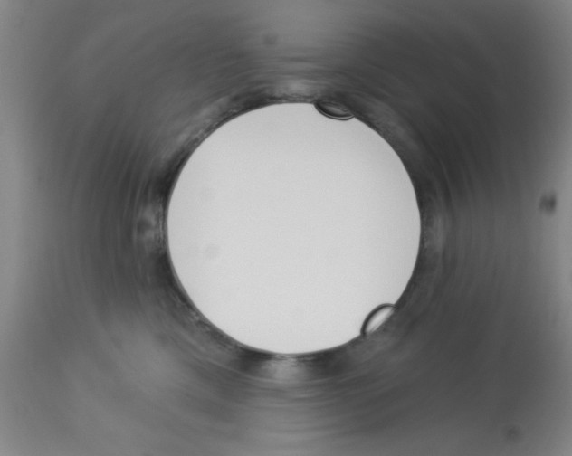 X0000112840425200909181717