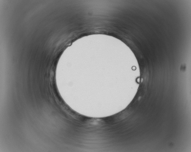 X0000112840427200909181717