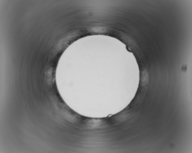 X0000112840428200909181717