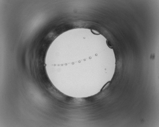 X0000112840429200909181717