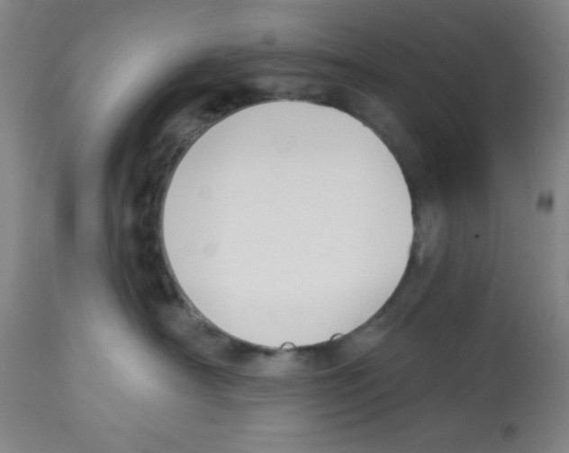 X0000112840430200909181717