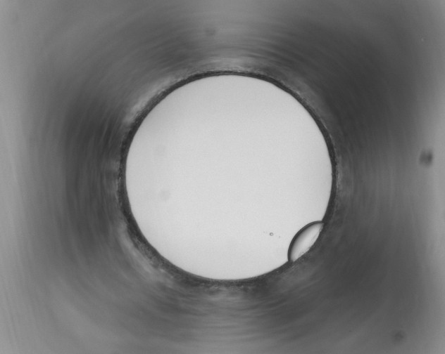 X0000112840434200909181716