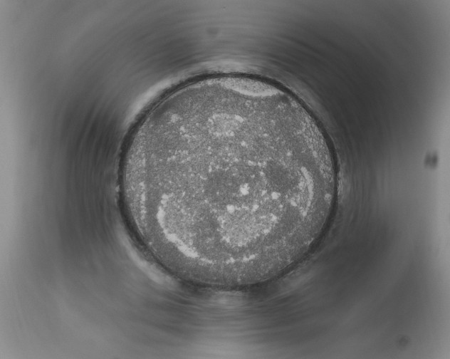 X0000112840438200909181716