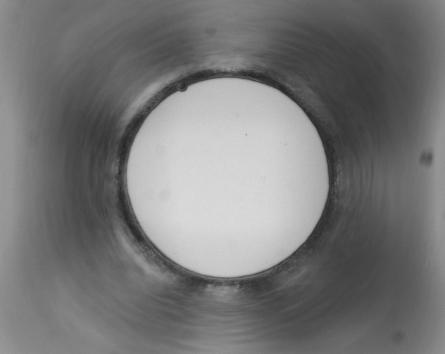 X0000112840440200909181716