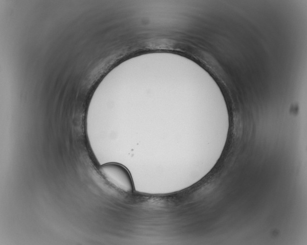 X0000112840441200909181716