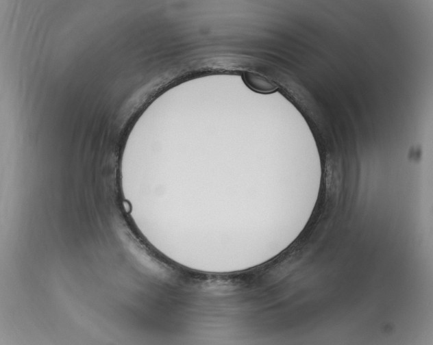 X0000112840445200909181716