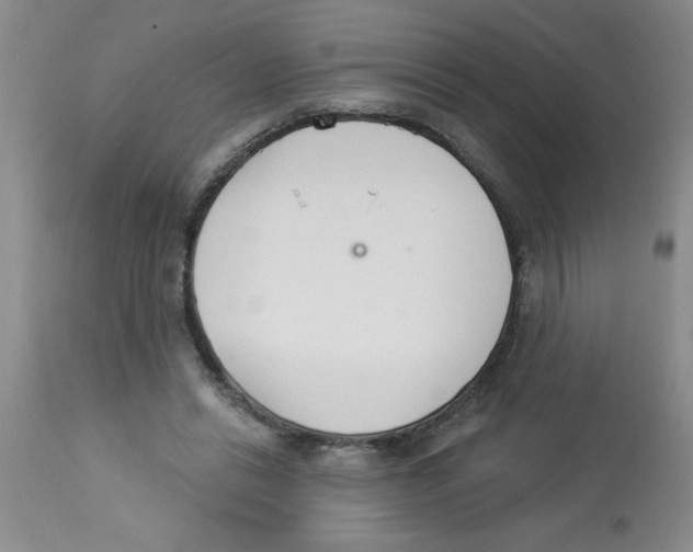 X0000112840446200909181716