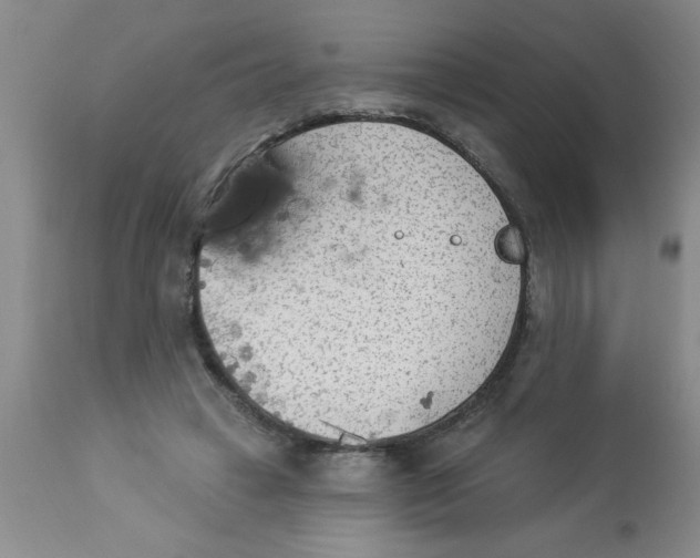 X0000112840449200909181716