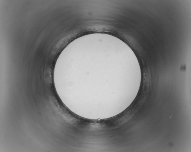 X0000112840453200909181716