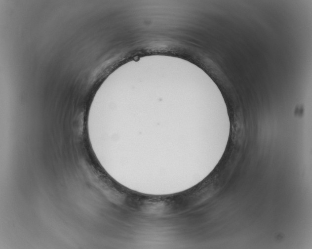 X0000112840454200909181717