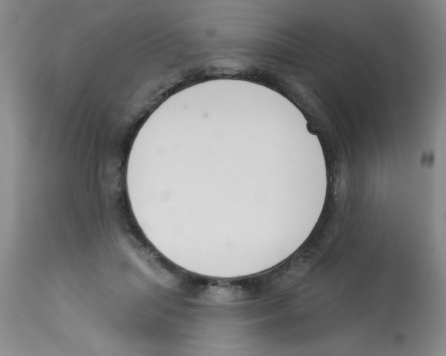 X0000112840455200909181717