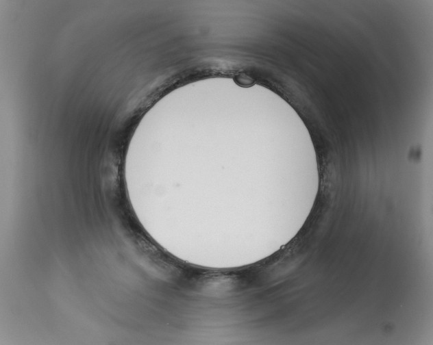 X0000112840456200909181717