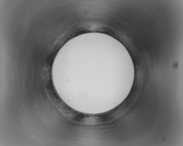 X0000112840461200909181717