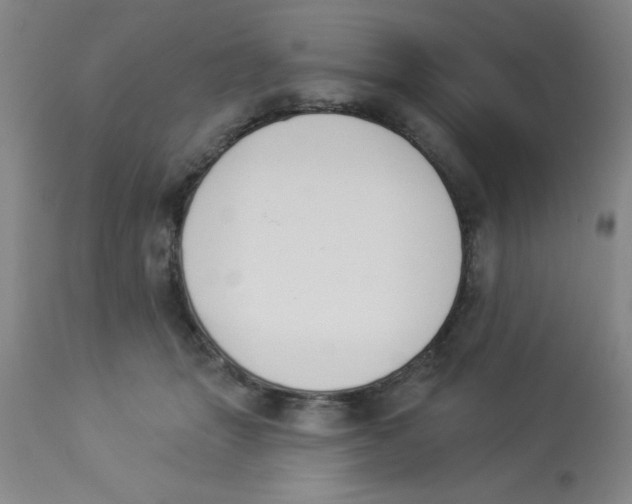 X0000112840463200909181717