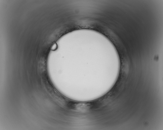 X0000112840465200909181717