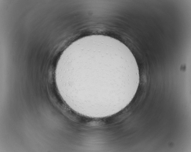 X0000112840468200909181717