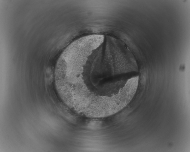 X0000112840471200909181717