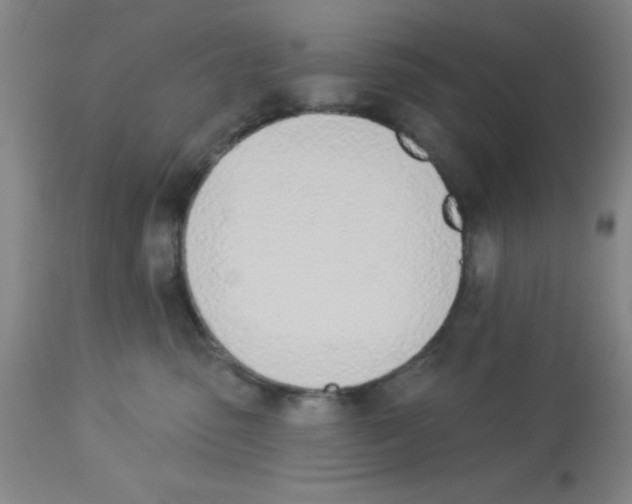 X0000112840475200909181717