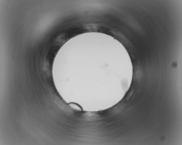 X0000112840477200909181717