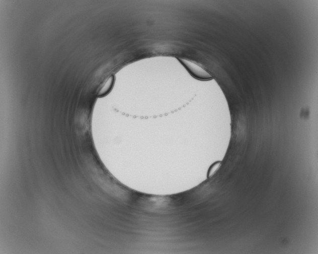 X0000112840478200909181717