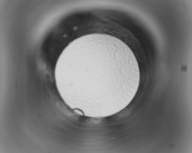 X0000112840479200909181717